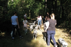 14409898_1268803896526087_1035915095769749958_o