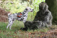 10357190_705833816159923_903875121214016240_n