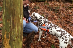 10960289_784943368225900_4221657287850312317_o(1)