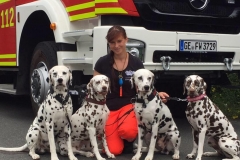 11825584_864859676900935_1662640930340319441_n