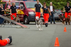 11838755_1615606622027451_8733851410083443399_o