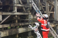 15178063_1142661325787434_5455645221703664878_n