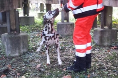 15220200_1142661352454098_3054261306871597841_n