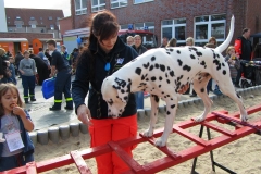 547974_402656813121226_388120137_n