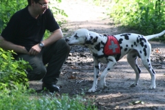 finley_anzeige-ii.11